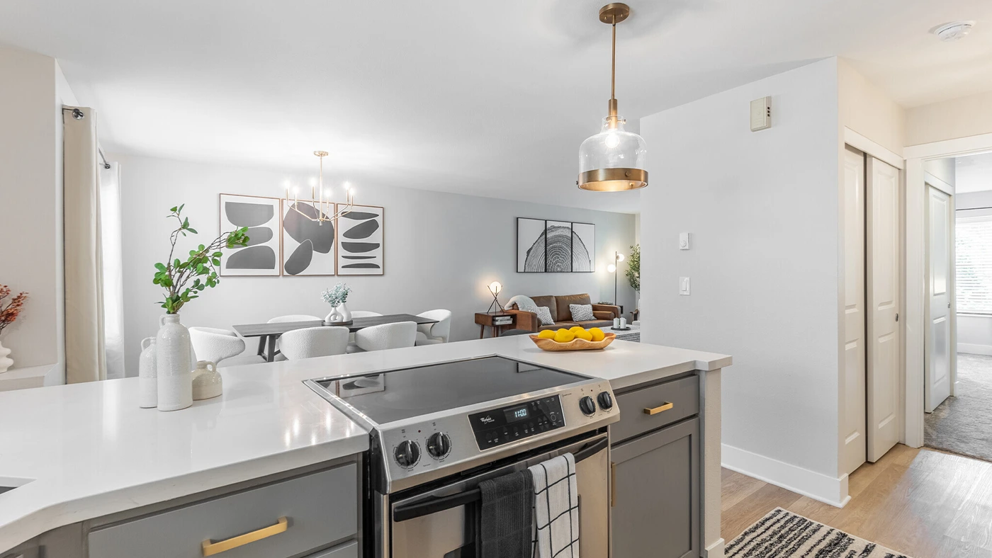 Open concept kitchen and living area — Ariana Designs